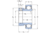 Y-Lager