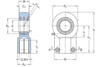 Gelenkkopf