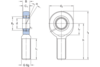 Gelenkkopf