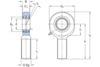 Gelenkkopf