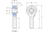Gelenkkopf