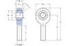 Gelenkkopf