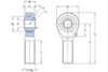 Gelenkkopf
